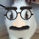 nicoleypoley321 avatar