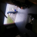 nicolsonmorency avatar