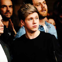 nicotineniall avatar