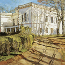 niebla-en-peru avatar