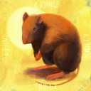 nielnielnieln avatar