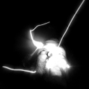 nigelclouse-blog avatar