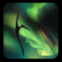 night-pterrors avatar