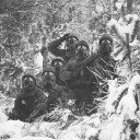 night-tracker avatar