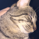 night-trxuble avatar