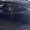 nightcrawlerr77 avatar