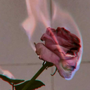 nightfall-in-the-middle-earth avatar