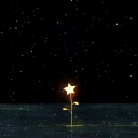 nightfloweruponahill avatar