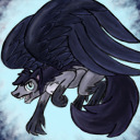 nightfroststorm avatar