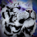 nightigress avatar