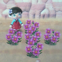 nightingale-of-the-west avatar