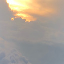 nightingale-song9 avatar