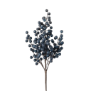 nightlockrebel avatar