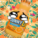 nightly-flight avatar