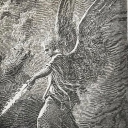 nightlyshores avatar