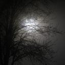 nightlywrites avatar