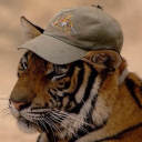 nightmare-catguy avatar