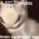 nightmarefeast avatar