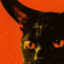 nightmaregoblinboy avatar