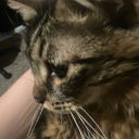 nightmareknight123 avatar