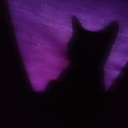 nightmarenoxx avatar