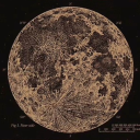 nightmareparacosm avatar