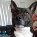 nightmareqween avatar