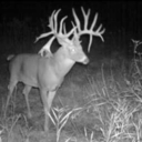 nightmareriders-blog avatar