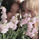 nightmarescreen avatar