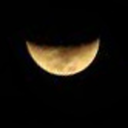 nightmareships avatar