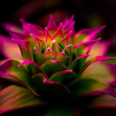 nightmarestale avatar