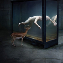 nightmovesblog avatar