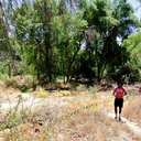 nightowl-posts avatar