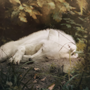 nightscourt-blog avatar