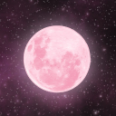 nightskies1578 avatar