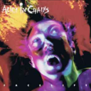 nightsnackcatchers avatar