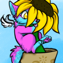 nightspiritwings avatar