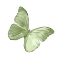 nightswimmerss avatar