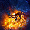 nightthief200 avatar