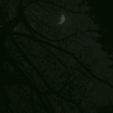 nighttimewrites avatar