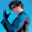 nightwingdickrider avatar