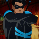 nightwingsbluestripes avatar