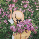 nihalistan0640 avatar