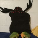 nikigniks-adventures avatar