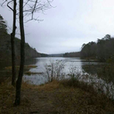 nikki-101-nikki avatar