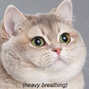 nikkidarlinggg avatar