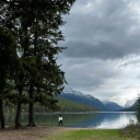 nikkinmichaels avatar