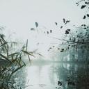 nikkiwriteswords avatar