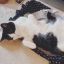 nikkynarrates avatar