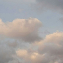 nikkythebutcher avatar